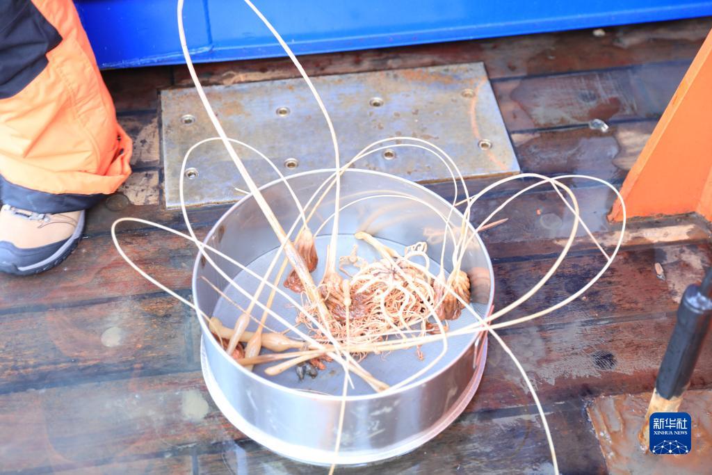 中國第13次北冰洋科學(xué)考察隊(duì)正式開始大洋科考作業(yè)(圖10)