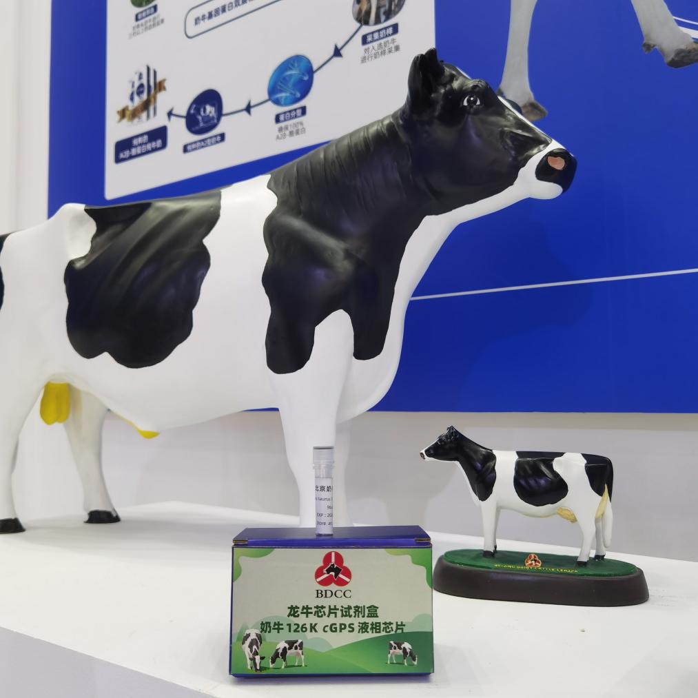 我國發布荷斯坦牛中高密度基因組選擇育種芯片(圖1)