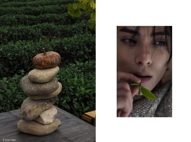 陳漫為王鶴棣拍攝茶園創意大片 演繹時尚與茶文化的多元統一(圖3)