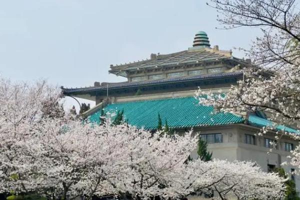 武漢櫻花什么時候開 武大櫻花2024年什么時候開放 武漢櫻花什么時候開 武大櫻花2024年什么時候開放