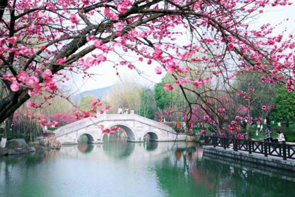 超山梅花節(jié)2024門票多少錢 超山梅花節(jié)2024門票多少錢