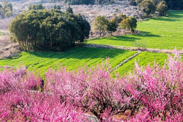 2024張家港香山梅花節門票多少錢