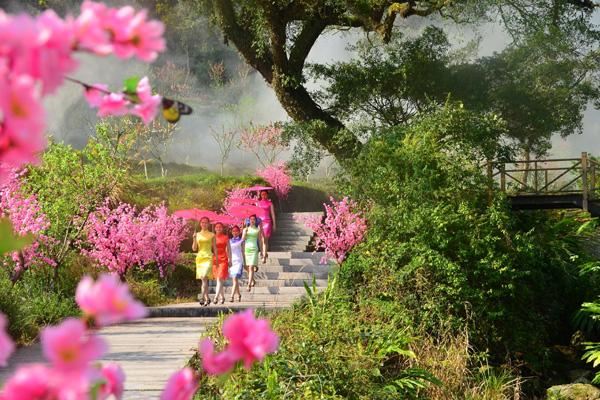 泉州賞花的網紅地點有哪些