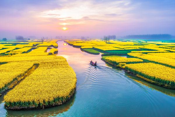 2024興化千垛景區最新開放時間