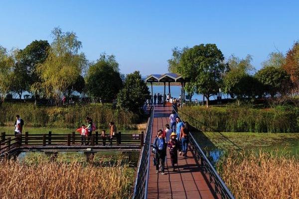 長沙周邊踏青賞花的地方有哪些 長沙周邊踏青賞花的地方有哪些