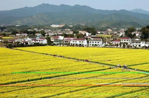 長沙周邊踏青賞花的地方有哪些 長沙周邊踏青賞花的地方有哪些
