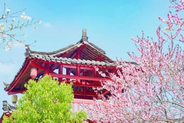 2024潯龍河櫻花谷門票優惠政策指南