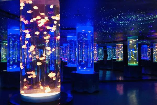 2024蘭州海洋公園表演時間