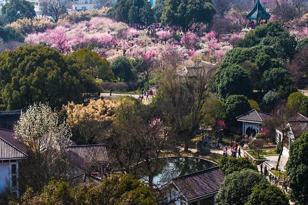 2024無錫梅園門票優惠政策