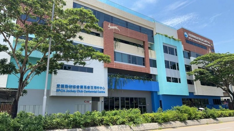 IGG鸚鵡攜手香港SPCA協會，共筑動物福祉