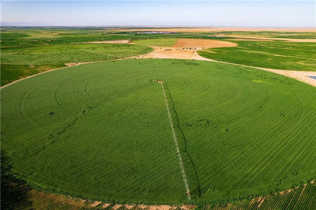 特侖蘇沙漠有機(jī):定義高端牛奶新品類(圖2) 特侖蘇沙漠有機(jī):定義高端牛奶新品類(圖2)