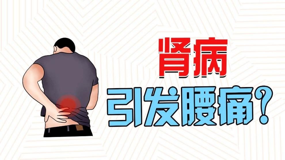 白羽醫生提醒：腰部隱隱脹痛，可能是腎臟發出的求救信號
